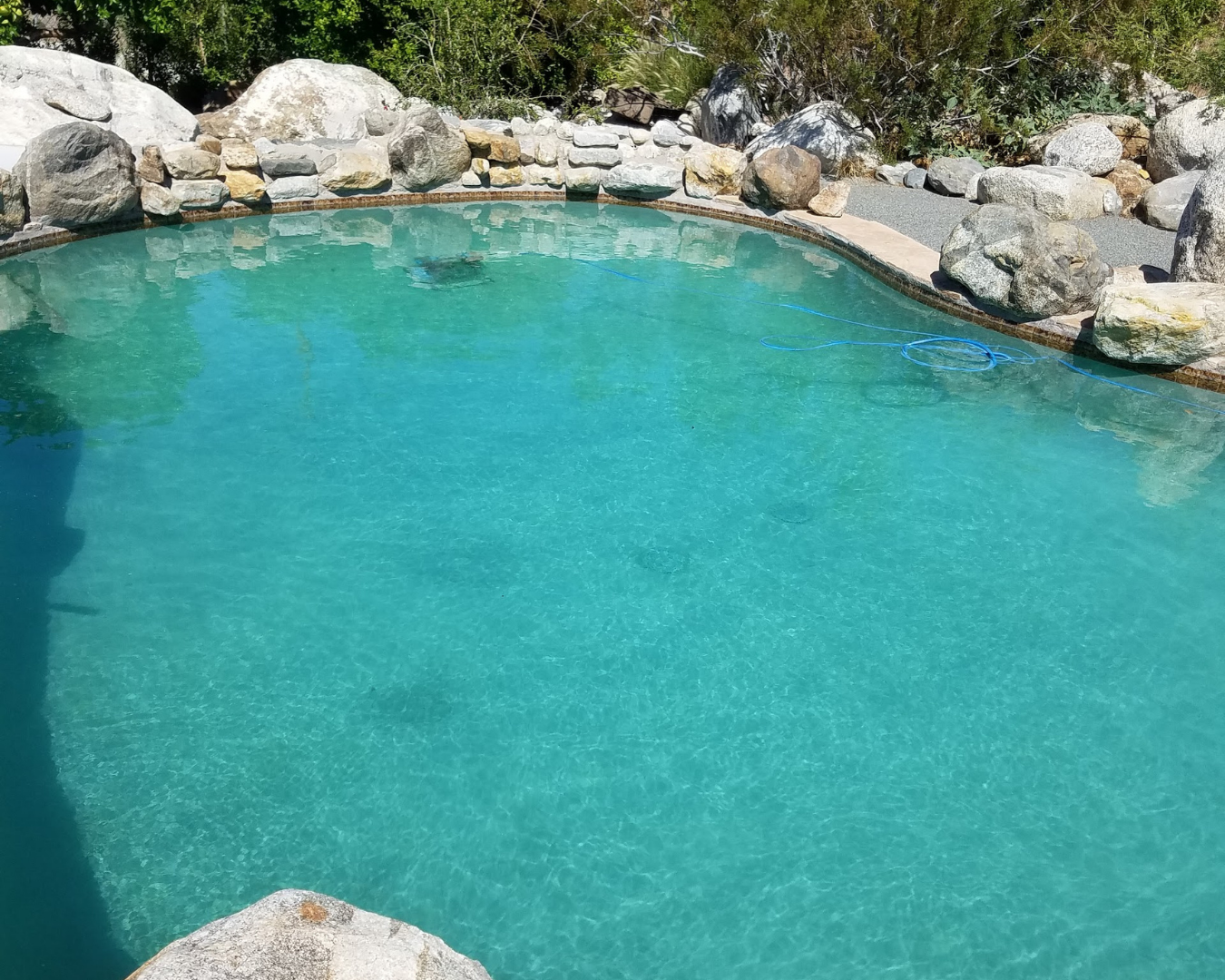 Chlorine Wash